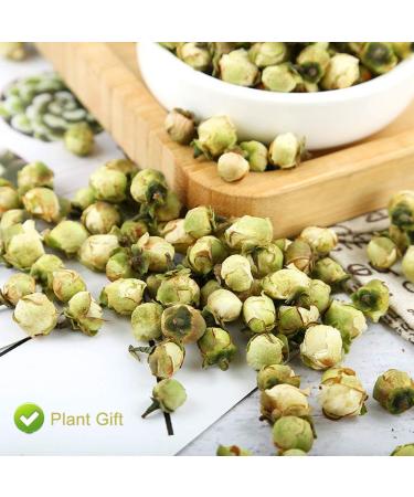 PlantGift Snow Plum Blossom Tea 60G/2.11oz Blossom Tea Flower Chinese Dried Plums Health Tea - Buy Online on SooperMarket.com