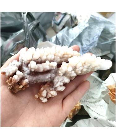 Rare Natural Raw Quartz Crystal Cluster Stones Crystal Point Specimen Home Decoration Raw Crystals Beautiful Gift (Size : 40-70g) - Buy Online on SooperMarket.com