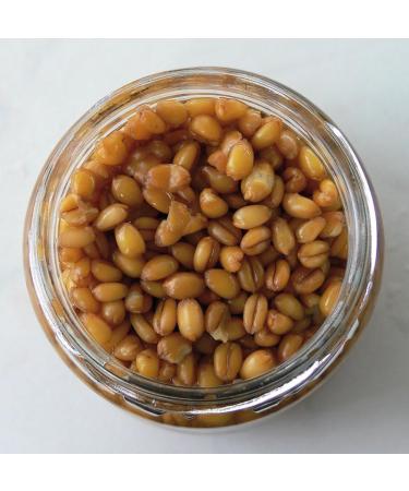 Rameau COOKED SEED Wheat 212