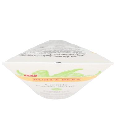 Burt's Bees Sensitive Gentle Facial Scrub 4 oz - Natural Skincare for Sensitive Skin - Buy Online on SooperMarket.com