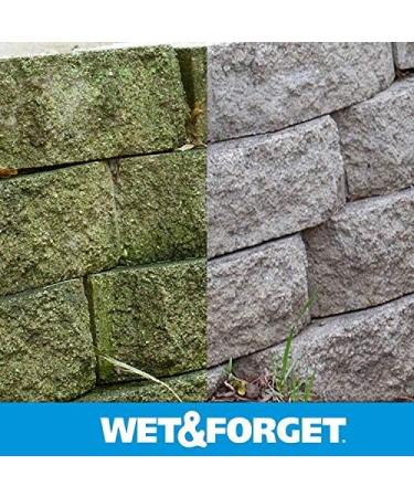 Buy Wet & Forget Moss & Mold Remover - Multi-Surface Outdoor Cleaner Concentrate (64 oz 2 Pack) - Effective Algae Stain Solution | Fast International Shipping - Buy Online on SooperMarket.com
