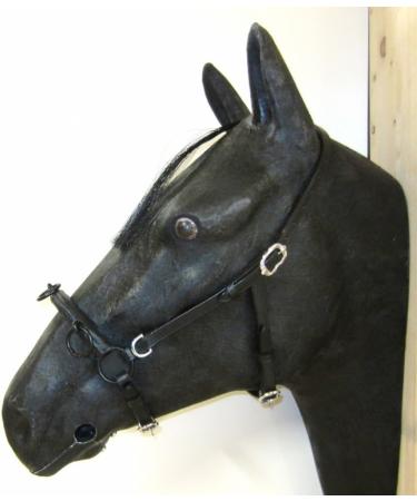 Buy PS Horse French Cavesson Cavecon with D-Rings - Soft Full Brown with Gold Fittings | International Shipping Available - Buy Online on SooperMarket.com