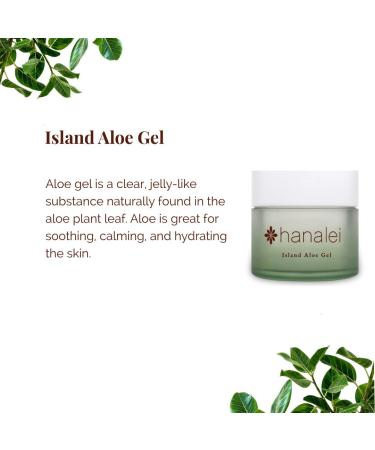 Hanalei Aloe E Hawaiian Face Wash & Island Aloe Gel Moisturizer | Natural Hawaiian Botanicals | Cruelty-Free Skincare - Buy Online on SooperMarket.com