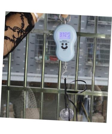 ABOOFAN Transparent Sucker Cup 140pcs Wedding Ornaments Suckers to Window Vacuum Cups Suction Universal Glass Sucker Door DIY 4*4CM As Shown - Buy Online on SooperMarket.com