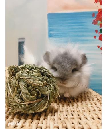 6pc Rabbit Chew Ball Timothy Grass Toys for Small Animals - Ideal for Bunny Rabbits, Hamsters, & Guinea Pigs - Buy Online on SooperMarket.com
