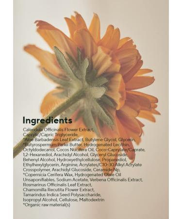 AROMATICA Calendula Juicy Cream - Vegan Moisturizer with 48% Calendula Extract for Soft Hydration | Ideal for Sensitive to Normal Skin Types | For Itchy and Rough Skin - 02 Calendula - Buy Online on SooperMarket.com