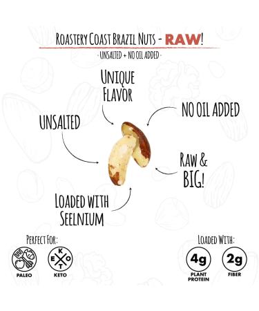 Roastery Coast Brazil Nuts Multipacks - Pack of 50 | Premium Quality Nuts - Buy Online on SooperMarket.com