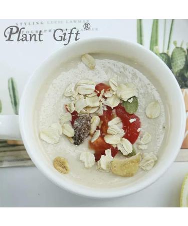 Plant Gift 100% Pure Oat Powder 100G/3.25oz Non-GMO Powder No Filler No additives Natural Oat Flour Great Flavor for Drinks Adds Flavor and Taste Baking Ingredients 2UK-PO0061 - Buy Online on SooperMarket.com