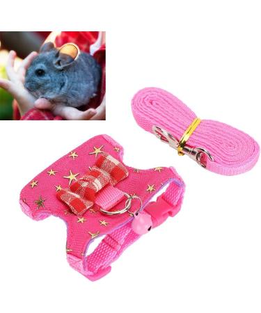 Small Animal Dishes & Leash Set for Squirrels Hamsters Ferrets & Guinea Pigs | Perfect Pet Accessories - Buy Online on SooperMarket.com