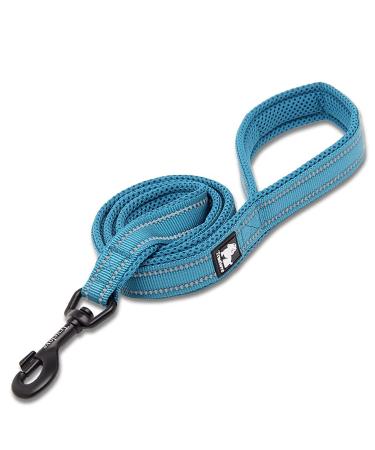 TRUE LOVE Dog Leash Puppy Walking Lead Pet Chain Padded Reflective Night Safe Rope Length 110cm TLL2111(Blue M) M(110cm) Blue