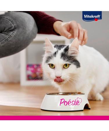 Vita Power Po sie D lice Wet Cat Food with Chicken Fillet - Grain & Sugar-Free for Adults (23x85g) | Premium Nutrition - Buy Online on SooperMarket.com