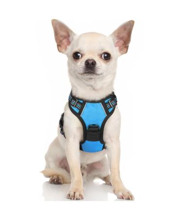 Rabbitgoo dog harness Small dogs Anti Zug Charter Dog Dog with control no pull adjustable dog dishes large dogs breathable reflex stripes breast harness dog safe guidance light blue xs xs (1 Pack) light blue