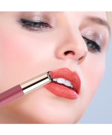 Silicone Lip Brush - 2 Silicone Lip Applicators Lip Brush for Lipstick Multi-purpose Silicone Brush for Lip Balm Lip Gloss Lip Stick and Concealer - Buy Online on SooperMarket.com