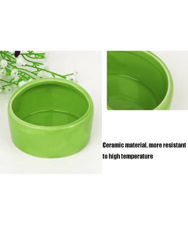 CAJHFIZHANGU 1pc Gradient Side Hamster Ceramic Bowl Hamster Food Bowl Ceramic Water Bowl Small Animal Water Bowl Anti-bite Small Animal Food Bowl Water Feeder for Rabbit Hedgehog Guinea-Pig Green - Buy Online on SooperMarket.com