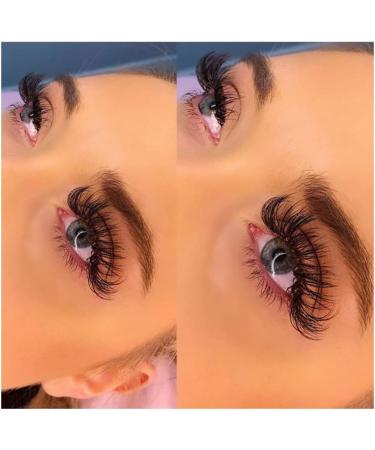 Fadlash Easy Fan C Curl 0.05 10mm Single Lashes - Russian Eyelash Extensions for Natural Self Fanning Blooming Look - Buy Online on SooperMarket.com
