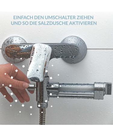 Buy Lion's Den Chrome Starter Set | Mediterranean Salt Shower - Elevate Your Shower Experience | International Shipping Available - Buy Online on SooperMarket.com
