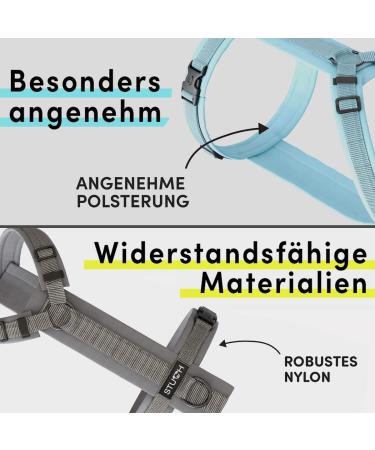 Stuch Dog Harness - Adjustable Padded Nylon for All Sizes | Turquoise XS for Small Medium Large Dogs - Buy Online on SooperMarket.com