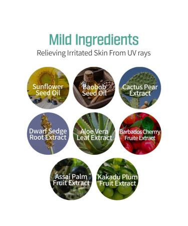 ETUDE HOUSE Sunprise Mild Airy Finish Sun Milk SPF50+ | PA+++ | Sebum-Free 100% Mineral Sunscreen - Buy Online on SooperMarket.com