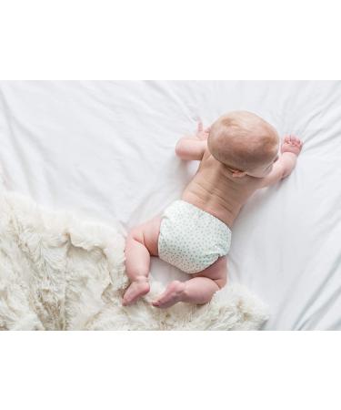 GroVia BioLiners Unscented Diaper Liners 200 Count - Eco-friendly & Biodegradable - Buy Online on SooperMarket.com