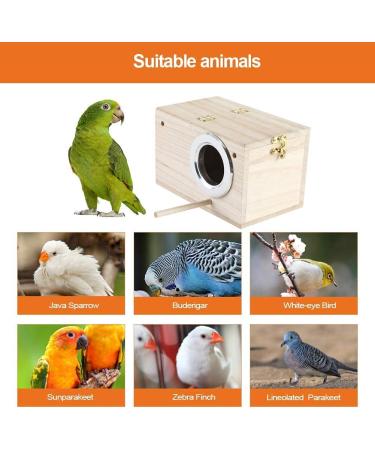 Nesting Box Cage for Parakeets, Budgies, and Small Birds - Coconut Fiber Wood Breeding House with Perch - Ideal for Finch, Canary, Cockatiel, Lovebird, Sparrow - Buy Online on SooperMarket.com