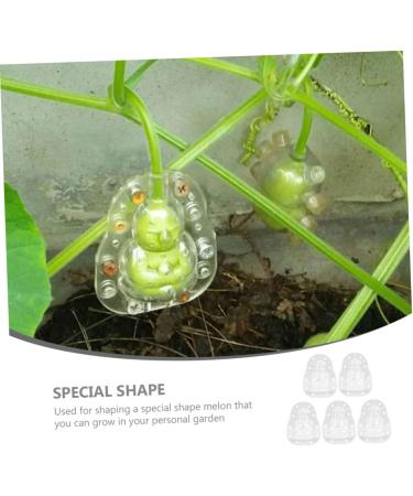 SUPVOX 5pcs Vegetable Fruits Adorable Growing Mini Growth Pear Statue Fruit Gardening Melon - Buy Online on SooperMarket.com