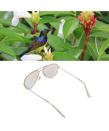 Red Green Color Blind Glasses - Lightweight Golden Frame for Color Weakness Correction | Durable for Men & Women | Indoor & Outdoor Use - Buy Online on SooperMarket.com