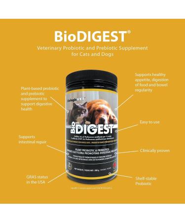 BiologicVET - BioDIGEST Plant Probiotic 380g All-Natural Advanced Dog & Cat Probiotic Powder with Prebiotics & Flax Relieves Diarrhea and Constipation Supports Digestion Allergy Immunity & Health 380 g (Pack of 1) - Buy Online on SooperMarket.com