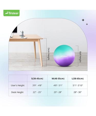 Trideer Dreamy Exercise Ball 65cm - Yoga Ball for Home Gym, Desk Chair - Fitness & Physical Therapy - Quick Pump Included - Buy Online on SooperMarket.com
