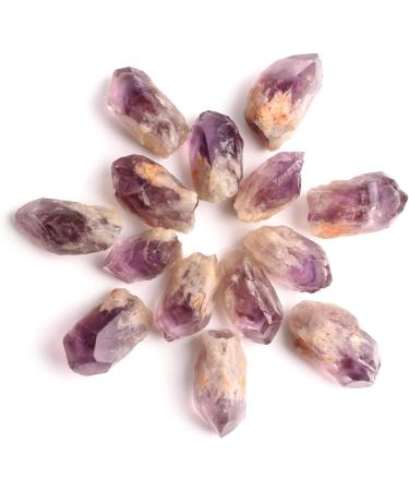 Natural Crystal Rough Natural Mini Amethyst and Citrine Crystal Cluster Point Specimen Home Decoration Collection DIY Gift (Color : Citrine Stick Size : 30g) 30g Citrine Stick - Buy Online on SooperMarket.com