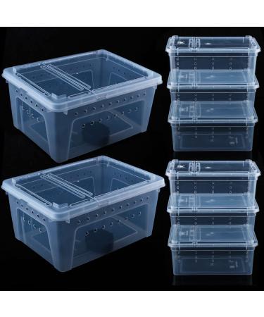 8 Pcs Reptile Feeding Box Snake Plastic Transparent Breeding Box for Bearded Gecko Dragon Lizard Spider Frog Scorpion (2 Pcs Large Size, 6 Pcs Small Size)