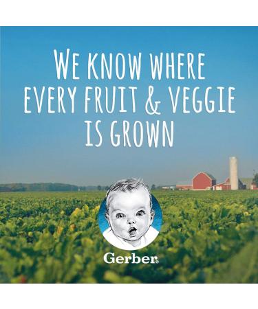 Gerber Baby Food 2nd Foods Blends Banana & Mixed Berry Puree | Wonderfoods | Natural & Non-GMO | 4oz Tubs 2-Pack (Pack of 8) - Buy Online on SooperMarket.com