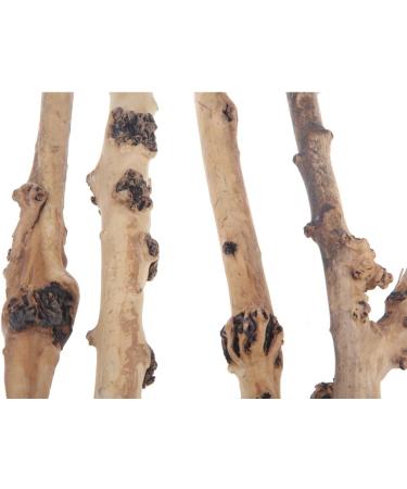 emours Reptile D cor Natural Forest Branch Terrarium Wood Aquarium Ornament 4 Pack - Buy Online on SooperMarket.com