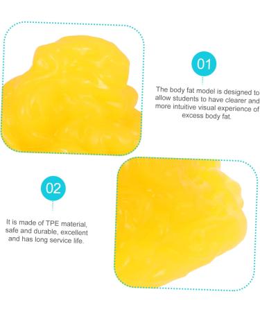Baluue Fat 1lb Fat Model Manikin Mannequins Body Fat Anatomy Fat Replica with Display Base Fitness Tool Human Body - Buy Online on SooperMarket.com