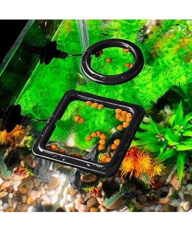 Taicols 2 Pack Feeding Ring Aquarium and Tank Floating Feeder Ring for Goldfish and Other Smaller Fish Aquarium Feeder Feeding A Aquarium Square Round Fish Food Feeders with Suction Cupquarium Fish - Buy Online on SooperMarket.com