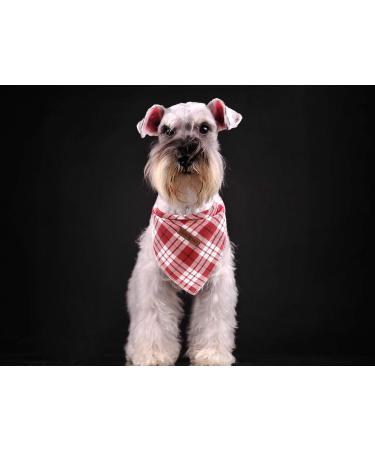 Lionet Paws Dog Bandana - Triangular Headscarf for Small Medium & Large Dogs | Red Checked Design | 1-Pack - Buy Online on SooperMarket.com