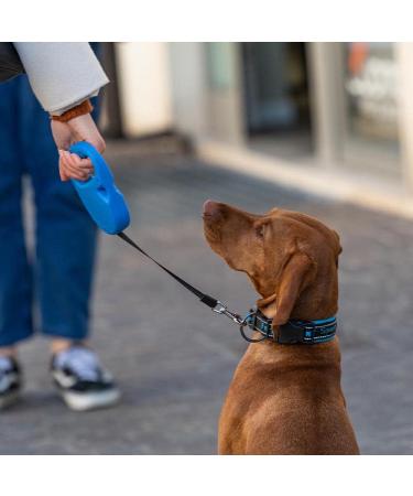 Ferplast Flippy One Dog Leash - 5m Roller Leash for Medium Dogs up to 25kg - Adjustable Locking Black - Buy Online on SooperMarket.com