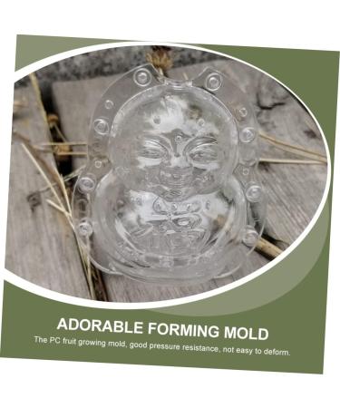 Anneome 2pcs Vegetable Shaping Mold Fruit Cucumber Shaping Molds Adorable Melon Mold Watermelon Pumpkin - Buy Online on SooperMarket.com