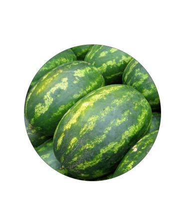 50pcs Giant Anguria Semi Delicious Sweet Home Della Frutta Della Decorazione