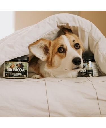 Flora Health BiologicVET BioSKIN&Coat Natural Antihistamine Quercetin Bromelain Lignans Prebiotics for Dogs and Cats 400 g Powder Greenish 400 g (Pack of 1) - Buy Online on SooperMarket.com
