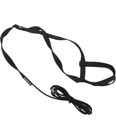 Buy Psopp Bird Dishes & Leash for Parrots | Adjustable PAPPAGES-FREILLEINE for Grayka Cadu Black L - International Shipping - Buy Online on SooperMarket.com