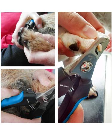 Bairui Dog Nail Clippers - Professional Large Pet Nail Cutters & Files (Blue) | Best Nail Clips for Dogs & Cats - Buy Online on SooperMarket.com
