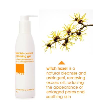LATHER Blemish Control Cleansing Gel | Acne Face Wash for Oily & Acne-Prone Skin | Natural & Gentle Cleanser | 6 Fl Oz - Buy Now - Buy Online on SooperMarket.com