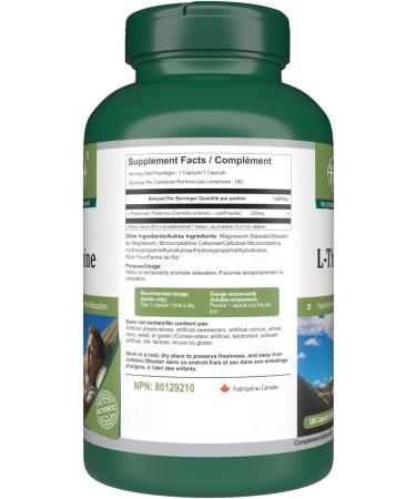 VORST L Theanine 250mg 180 Vegan Capsules | Stress Relief Supplement | Powder Pills | Alternative to Liquid | 1 Bottle 180 count (Pack of 1) - Buy Online on SooperMarket.com