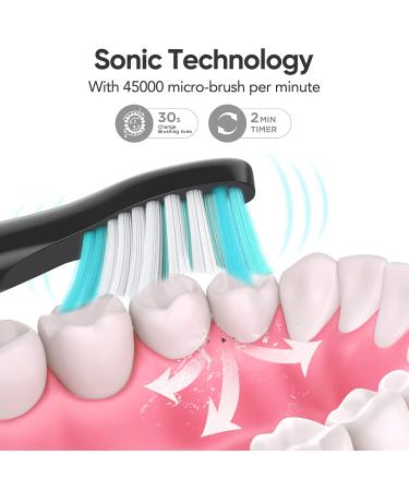 Sonicare Electric Toothbrush with 12 Dupont Brush Heads | 15 Cleaning Modes | 4 Hours Charging for 60 Days Use | Whitening Dental Care for Adults & Kids - Buy Online on SooperMarket.com
