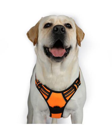 Rabbitgoo dog harness medium -sized dogs anti train crockery dog with control no pull adjustable dog dishes large dogs breathable reflex stripes breast harness dog safe guide orange xl XL (1 Pack) orange