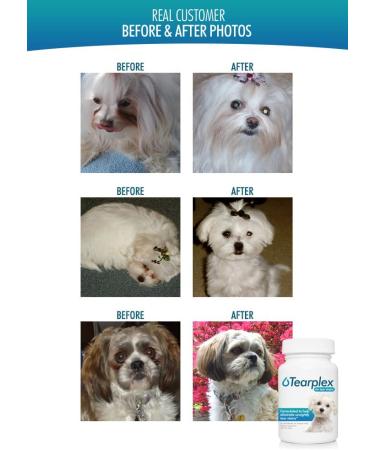 TEARPLEX Tear Stain Supplement for Dogs and Cats - 1 Rated Natural USA-Made Tear Stain Product, Veterinarian Trusted, Beef Flavored - Buy Online on SooperMarket.com