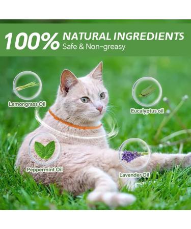 Cat Repellent Treatment Adjustable Cat Repellent Collars Natural Protection Repellent Collar for Cats Water Resistant Repellent Collar for Cats Small-Medium-Large Orange 4pack - Buy Online on SooperMarket.com