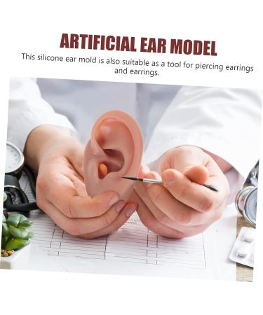 FOMIYES Silicone Human Ear Model for Piercing Teaching Display - Coffee 6.5x3.5cm - Buy Online on SooperMarket.com