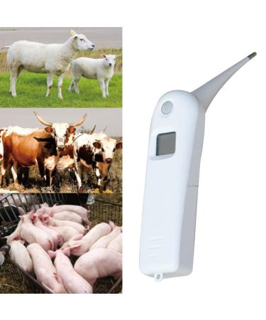 Pet Thermometer With Probe For Accurate Temperature Detection Suitable For Cats Dogs LCD Display For Cat Dog Thermometer Veterinary Thermometer Digital For Small Animals Large Animals Dogs Horse Cats - Buy Online on SooperMarket.com