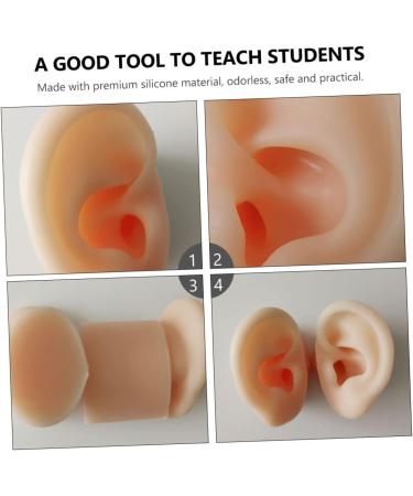 Silicone Ear Models for Practice - 1 Pair Ear Picking & Display Samples - Buy Online on SooperMarket.com